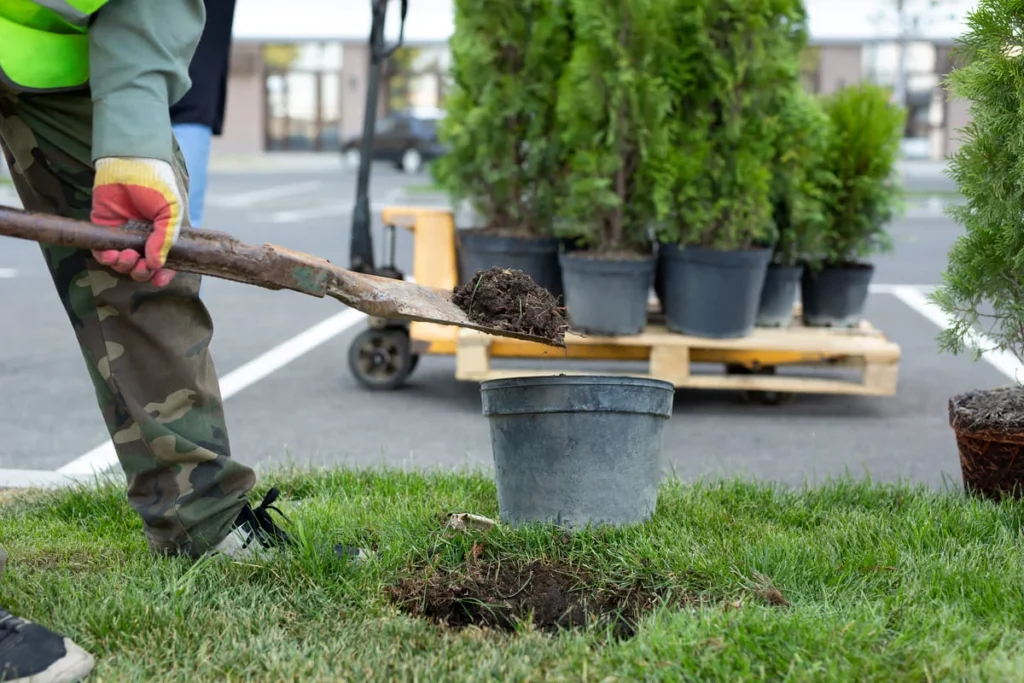 Landscaping Styles in North Carolina