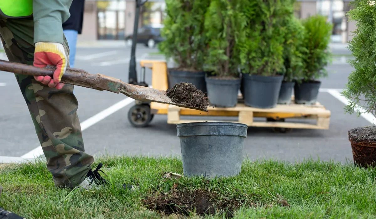 Landscaping Styles in North Carolina