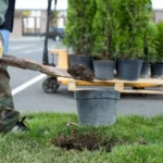 Landscaping Styles in North Carolina