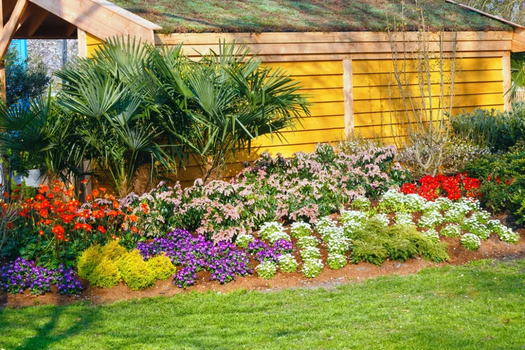 best plants for North Carolina landscapes