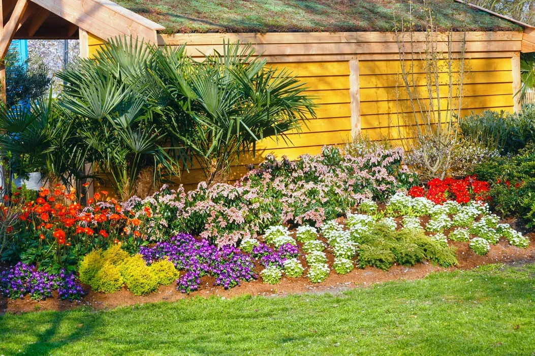 best plants for North Carolina landscapes