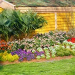 best plants for North Carolina landscapes